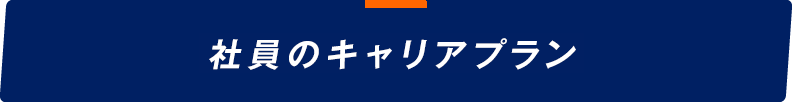 社員のキャリアプラン